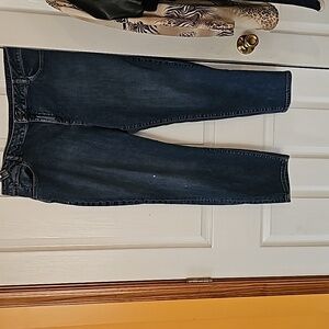 Talbots 20wp jeans